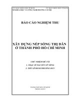 đề tài xây dựng nếp sống thị dân ở thành phố hồ chí minh