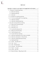 hoàn thiện chiến lược marketing cho ngân hàng công thương chi nhánh sông nhuệ