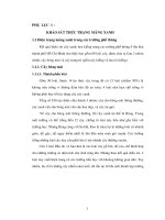 xây dựng màng xanh trong nhà trường phổ thông ở tp.hcm- khảo sát thực trạng mảng xanh trong trường học