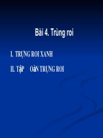 Tiết 3: Bài 4: TRÙNG ROI