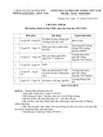 Mau bai lam thu hoach chinh tri he 2013