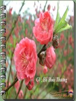 BAØI 2  HAØNG HOÙA – TIEÀN TEÄ  THÒ TRÖÔØNG ( T.2 )