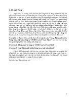 báo cáo công ty garnet nam định