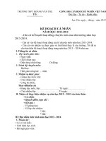 Mau ke hoach ca nhan