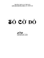 sổ cờ đỏ- năm học 2013-2014