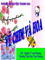 Bai 26 Ve chim va hoa