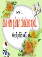 bài giảng TNXH 1: an toan khi o nha