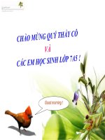 Bài 59 sinh học 7 thi giảng