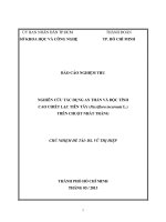 Nghiên cứu tác dụng an thần và độc tính của cao chiết lạc tiên tây (passiflora incamata l) trên chuột nhắt trắng