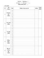 MAU SO SAO DO VA CACH DANH GIA