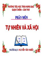 TNXH: an toan khi đi xe đạp