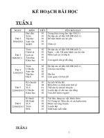 Giáo an L4 2013 - 2014