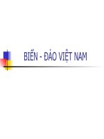 BIỂN ĐẢO VIỆT NAM