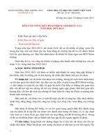 bao cao dai hoi doan