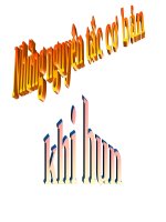 NHUNG NGUYEN TAC CO BAN KHI HUN