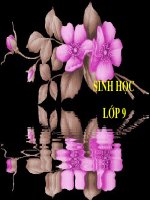 lai mot cap tinh trang (tt)