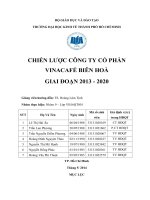 chiến lược công ty cổ phần vinacafé biên hoà giai đoạn 2013 - 2020