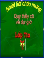 ngu van 7 nhung cau hat than than