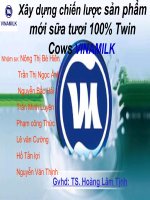 chiến lược phát triển sản phẩm mới sữa tươi 100% twin cows vinamilk