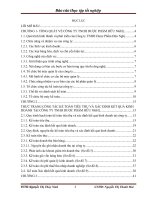 Hoàn thiện công tác kế toán tiêu thụ và xác định kết quả kinh doanh ở công ty TNHH dược phẩm hữu nghị