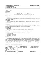 Bài 2-TTMT: Sơ lược về Mỹ thuật Việt Nam thời kì cổ đại