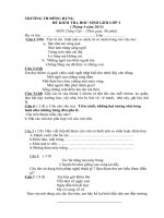 Đề thi HSG K3 12-13