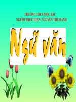 Tiết 16, 17 Chuyện người con gái Nam Xương