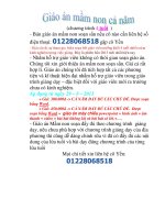 giao an mam non 4 tuoi ca nam