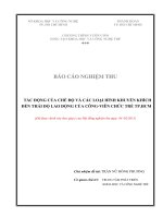 Tác động của chế độ và các loại hình khuyến khích đến thái độ lao động của công - viên chức trẻ tại TP.HCM