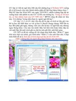 Chuyên đề 4 (12-13) : Kiểm tra tài khoản Violet của mỗi GV