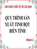 quy trình sản xuất tinh bột biến tính
