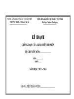 MẪU KẾ HOẠCH GIẢNG DẠY GVBM