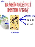 các yếu hóa học ảnh hưởng đến vi sinh vật