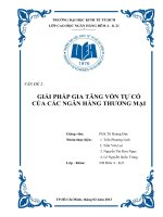 tiểu luận môn nghiệp vụ ngân hàng thương mại giải pháp gia tăng vốn tự có của các ngân hàng thương mại