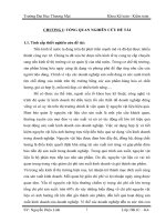 Đánh giá tổng quan và ảnh hưởng của nhân tố môi trường đến kế toán NVL sản xuất áo sơ mi tại công ty cổ phần may vĩnh phú
