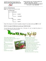 Bộ đề thi chứng chỉ A