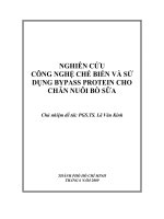nghiên cứu công nghệ chế biến và sử dụng bypass protein cho chăn nuôi bò sữa