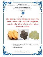 tìm hiểu các đặc tính cảm quan của bánh cracker và điều tra thị hiếu người tiêu dùng về các sản phẩm bánh cracker