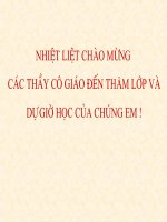 lich sử địa phương lớp 9