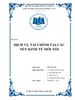 Tiểu luận môn thị trường tài chính DỊCH VỤ TÀI CHÍNH TẠI CÁC NỀN KINH TẾ MỚI NỔI