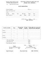 Mẫu Giấy đi đường