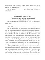 Nghị quyết chuyên đề