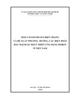 báo cáo đánh giá hiện trạng và đề xuất phương hướng, các biện pháp đẩy mạnh sự phát triển ứng dụng robot ở việt nam