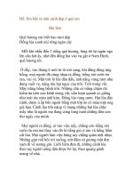 tả cảnh đẹp ở vùng quê