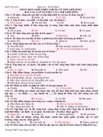 Bài tập trắc nghiệm sinh học 10 nâng cao