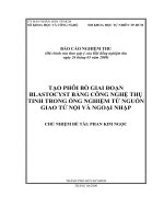 tạo phôi bò giai đoạn blastocyst bằng công nghệ thụ tinh trong ống nghiệm từ nguồn giao tử nội và ngoại nhập