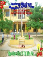 LUYEN TAP VE TINH DIEN TICH-Toan 5