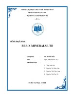Tiểu luận môn thị trường tài chính Đề tài thuyết trình BREX MINERALS LTD