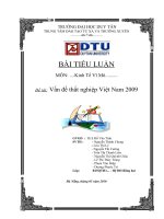 vấn đề thất nghiệp việt nam 2009