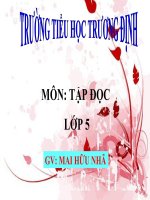 TĐ một chuyên gia máy xúc